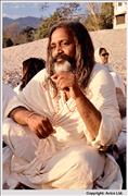 12. Maharishi